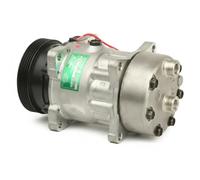 Compresseur de climatisation PAG 46 TSP0159042 DELPHI pour FIAT CITROËN PEUGEOT