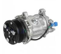 Delphi Compresseur de clim TSP0159243 Sanden SD6V12 PAG 46 Compatible VW Lupo / Polo III / Ibiza II