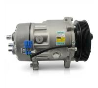 Compresseur de climatisation PAG 46 TSP0159297 DELPHI pour VW MULTIVAN T5