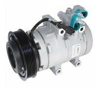 Delphi Compresseur de climatisation TSP0159480 PAG 46 pour Hyundai XG Santa Fé I