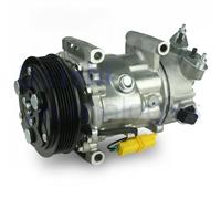 Delphi Compresseur de climatisation TSP0159488 PAG 46 pour Citroën Peugeot