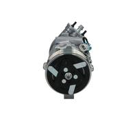 Compresseur de climatisation R 134a PAG 46 090.135.026.876 BV PSH pour OPEL