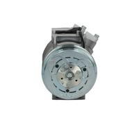 Compresseur de climatisation R 134a PAG 46 090.155.093.000 BV PSH