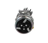 Compresseur de climatisation R 134a PAG 46 090.225.009.876 BV PSH pour PEUGEOT