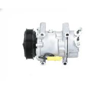 Compresseur, climatisation BV PSH 090.225.010.876