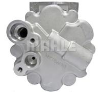 Compresseur de climatisation R 134a PAG 46 ACP 1343 000S MAHLE pour FIAT CITROËN