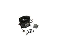 Compresseur Egas80hlr R134 Pour Refrigerateur - C00082370