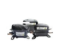 Compresseur Inverter For Réfrigérateur R600a - Modèles De Remplacement : BMK110NAMV, FLD165NBMA, FMA102NAMA(BMK110NAMV)