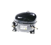 Compresseur Ntu 170 Mt 220/240 V R600