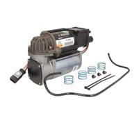 Arnott Compresseur d'air pour suspension pneumatique P-2985 – WABCO OES