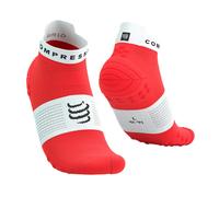 Compressport Pro Racing Socks V4.0 Run Low Unisexe T4
