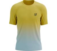Compressport - T-shirt de trail/running - Performance Ss Tshirt M Ceylon Yellow/Grey Dawn pour Homme - Taille XL - Jaune Jaune XL