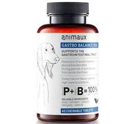Comprimés à croquer pour chiens en cas de diarrhée - Pour stabiliser la flore intestinale et la digestion - Complément alimentaire diététique - 40 x 2,5 g - animaux Gastro Balance