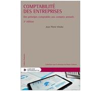 Comptabilité Des Entreprises - Des Principes Comptables Aux Comptes Annuels