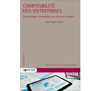 Comptabilité des entreprises - Des principes comptables aux comptes annuels
