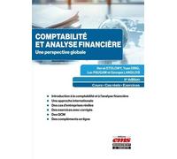 Comptabilité Et Analyse Financière - Une Perspective Globale