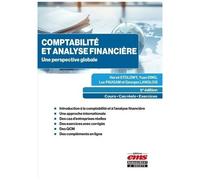 Comptabilité Et Analyse Financière - Une Perspective Globale