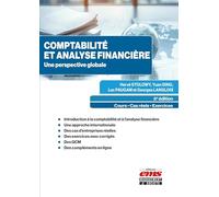 Comptabilité Et Analyse Financière - Une Perspective Globale