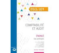 Comptabilité et audit - Énoncé: UE 4 du DSCG