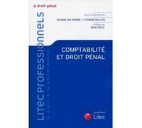 Comptabilite et responsabilite penale - Maxime Delhomme - LexisNexis - broché - Etude