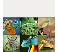 Compteur de lumière numérique UVC avec écran LCD, gamme 0-1999 μW/cm2, détection de spectre 220-280 nm, sonde en verre UV importée pour une mesure précise de l'irradiance,