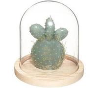 Comptoir de la Bougie - Bougie avec Cloche en Verre "Jardin" 145g Vert Vert G