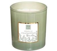 Comptoir de la Bougie Bougie parfumée Mael 190 g Feuille d'Eucalyptus