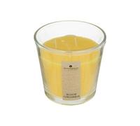 Atmosphera Bougie Nina à la citronnelle 500 g