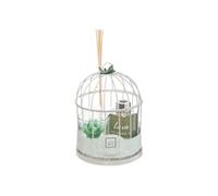 Atmosphera – Coffret de fragrances «Cage» 20 cm – Eucalyptus – Vert G