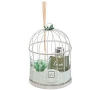Comptoir de la Bougie - Coffret de Fragrances "Cage" 20cm Eucalyptus Vert G