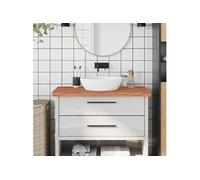 vidaXL Comptoir de Salle de Bain, Plan de Vasque, Dessus d'Armoire, Étagère de Toilette Intérieur, 100x50x4 cm Bois Massif de Hêtre