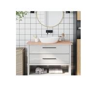 Comptoir de salle de bain 100x60x1,5 cm bois massif de hêtre 355987