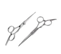 COMPUKAS Ciseaux de Coiffure Professionnels pour Désépaissir et Couper Cheveux, 2 Pièces en Acier Inoxydable Argenté, pour Salon et Usage Personnel