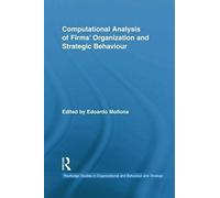 Computational Analysis Of Firms' Organization And Strategic Behaviour