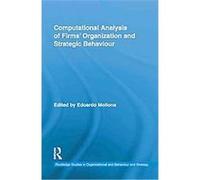 Computational Analysis Of Firms' Organization And Strategic Behaviour