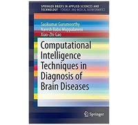 Computational Intelligence Techniques In Diagnosis Of Brain Diseases