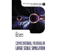 Computational Methods In Large Scale Simulation