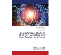 Computational Study of MHD Flow with Heat and Mass Transfer in a Porou