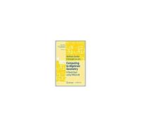 Computing In Algebraic Geometry