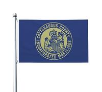 Comté De Cattaraugus, New York (Double Face) Bannière Avec Œillets Drapeau Résistant Aux Intempéries Drapeaux Pour Intérieur Bar Cour 90X150Cm