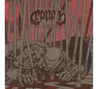 Evidence Of Immortality