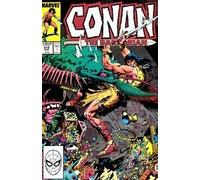 Conan the Barbarian Vol. 1, No. 212, Nov. 1988: The Warrior's Way