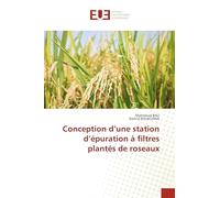 Conception d’une station d’épuration à filtres plantés de roseaux