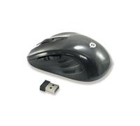 Conceptronic CLLM5BTRVWL souris Voyage Droitier RF sans fil Optique 1600 DPI