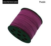 Concert Allegro With Introduction In D Minor / Conducteur De Poche