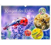 Concert de la nature - Les insectes jouent des instruments de musique (calendrier mural 2026 DIN A3 paysage) calendrier mensuel CALVENDO