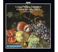 Concerti Da Camera 2 [Cd]