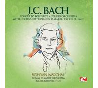 Concerto Flute & String Orchestra 2