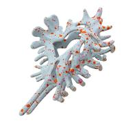 Conch Claw Clip Creative Hair Accessory to Women, Non-Slip Cute Shell-Inspired Hair Claws Wedding, Party, Vacation, Daily Wear, Sports, Also Stylish Updos for Long and Medium, 4.53 Inches