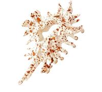 Conch Hair Clip, Claw Hair Accessory, 4.53 Inches, Travel Friendly Compact Size Versatile Elegant Non Slip Design, Styling Tool for Womens, Wedding, Vacation, Party, Sports and Daily
